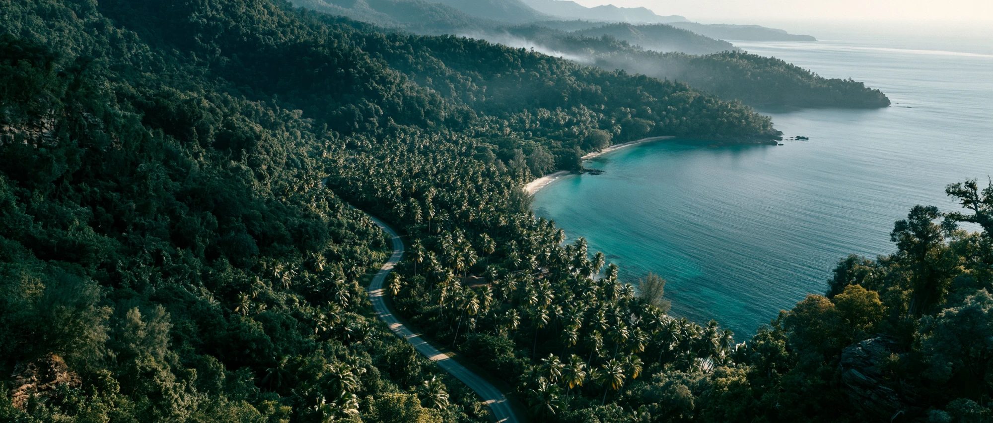 Aerial view of a palm-lined coastal road curving toward a turquoise bay